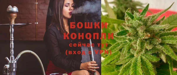 PSILOCYBIN Балахна
